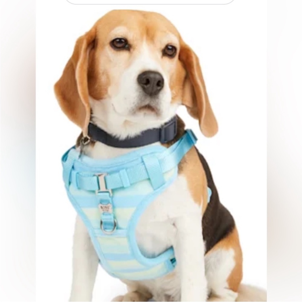 2 pc. Harness&Leash BOBS